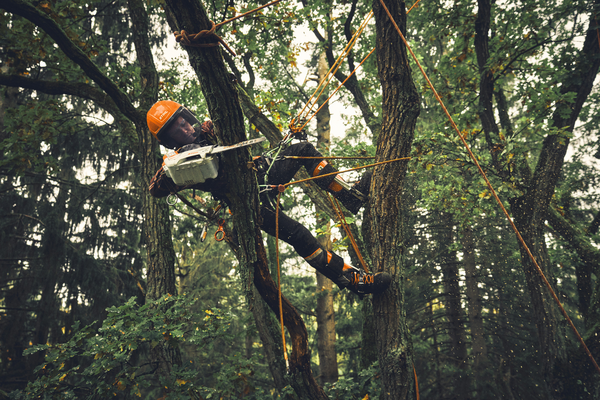 STIHL MSA 190 T 30 cm / 1/4 PM3