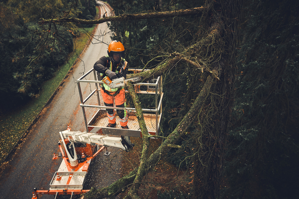 STIHL MSA 190 T 30 cm / 1/4 PM3