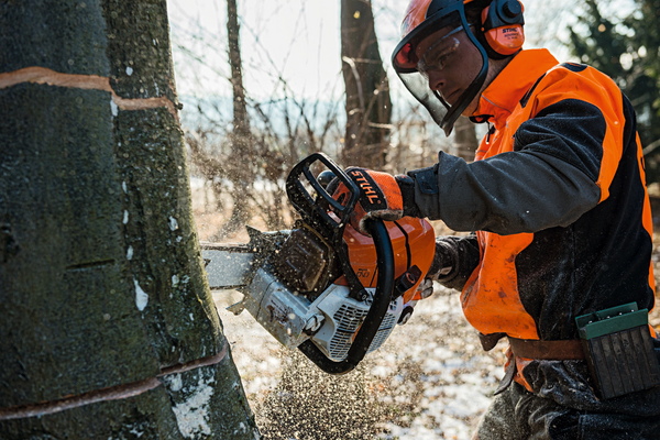 STIHL MS 661 C-M 63 cm / 36 RS
