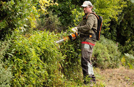 STIHL HSA 94 R Grundgerät / 60 cm