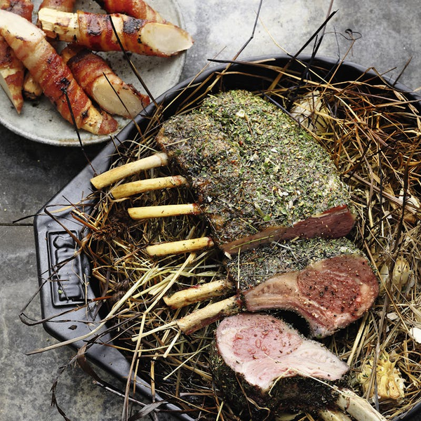 Weber`s Gasgrill-Bibel