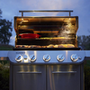 Weber Summit FS38 S Gasgrill, Edelstahl