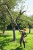 STIHL HTA 135 Grundgerät 30 cm / 71 PM3